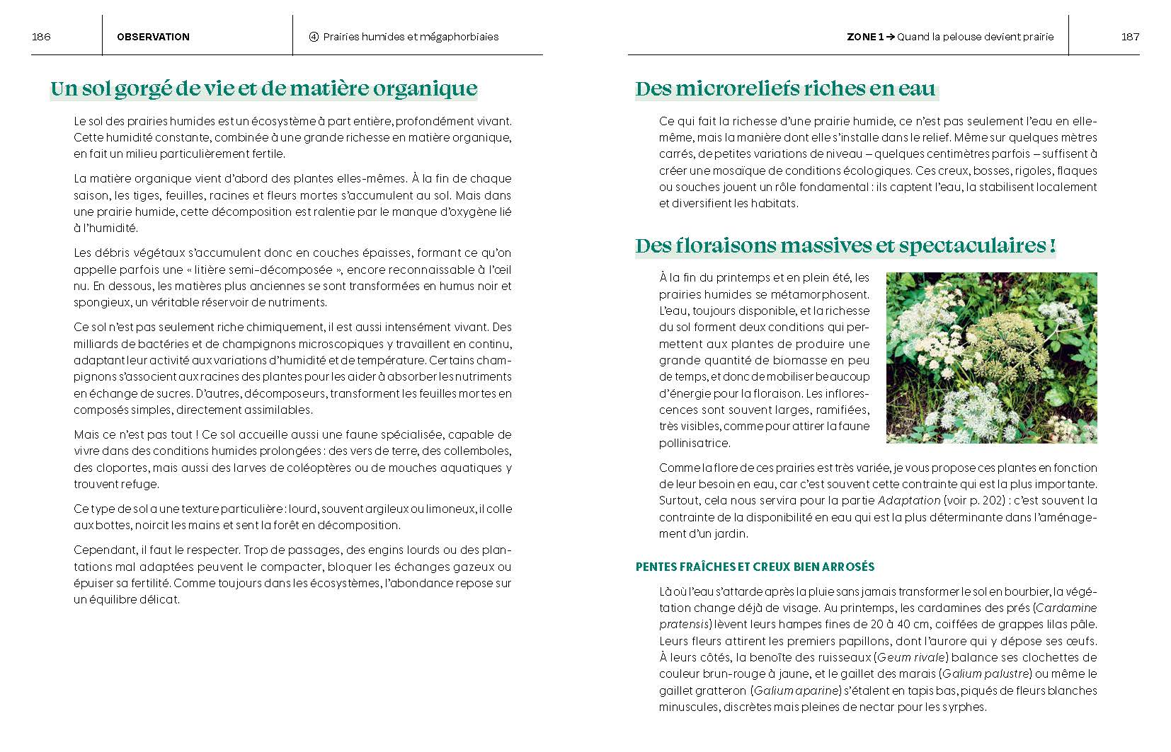 Miniature 8
