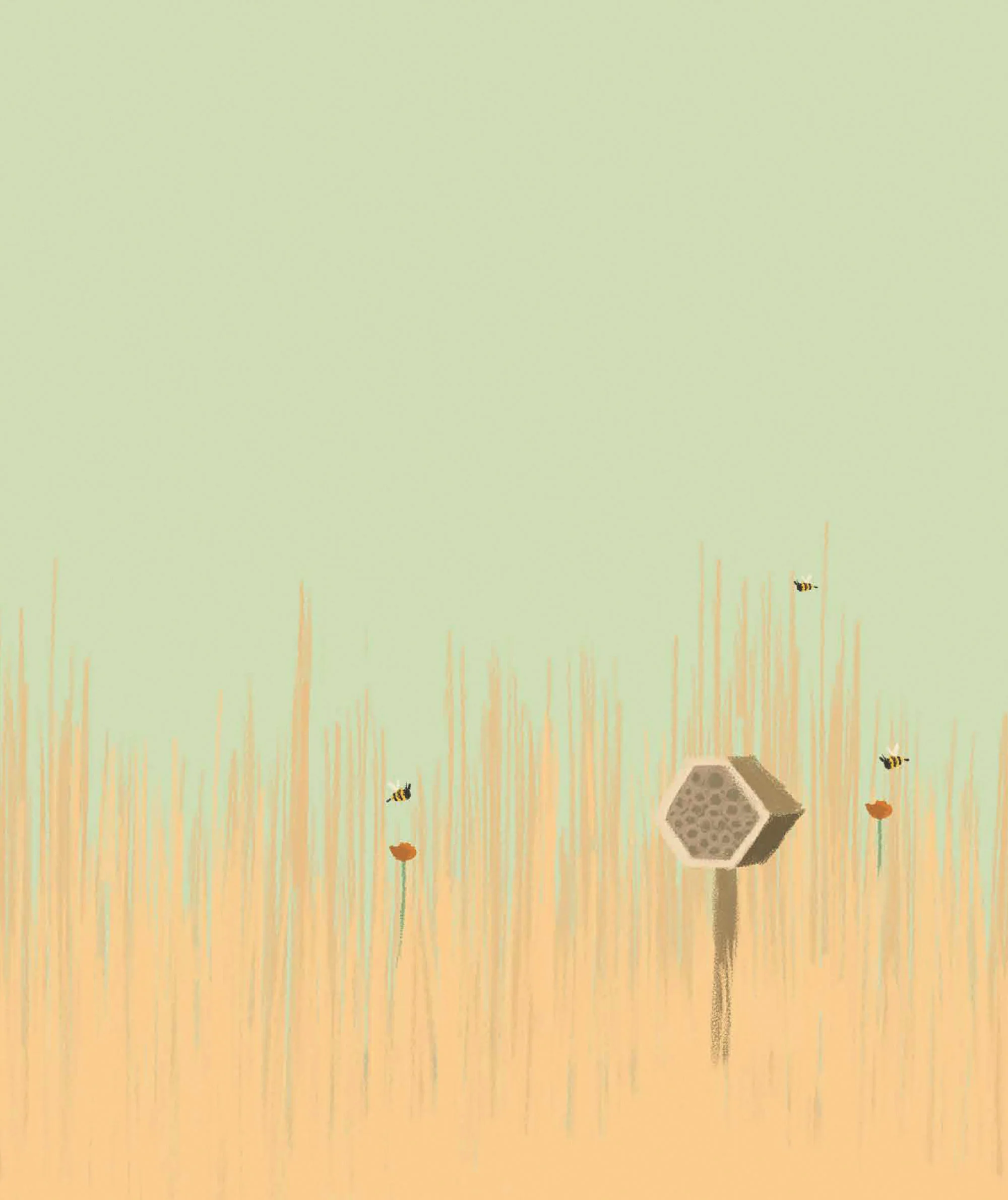 Miniature 3