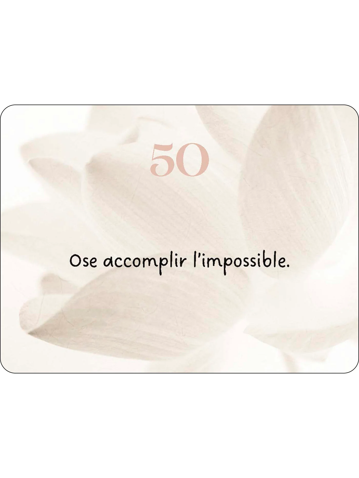 Miniature 20