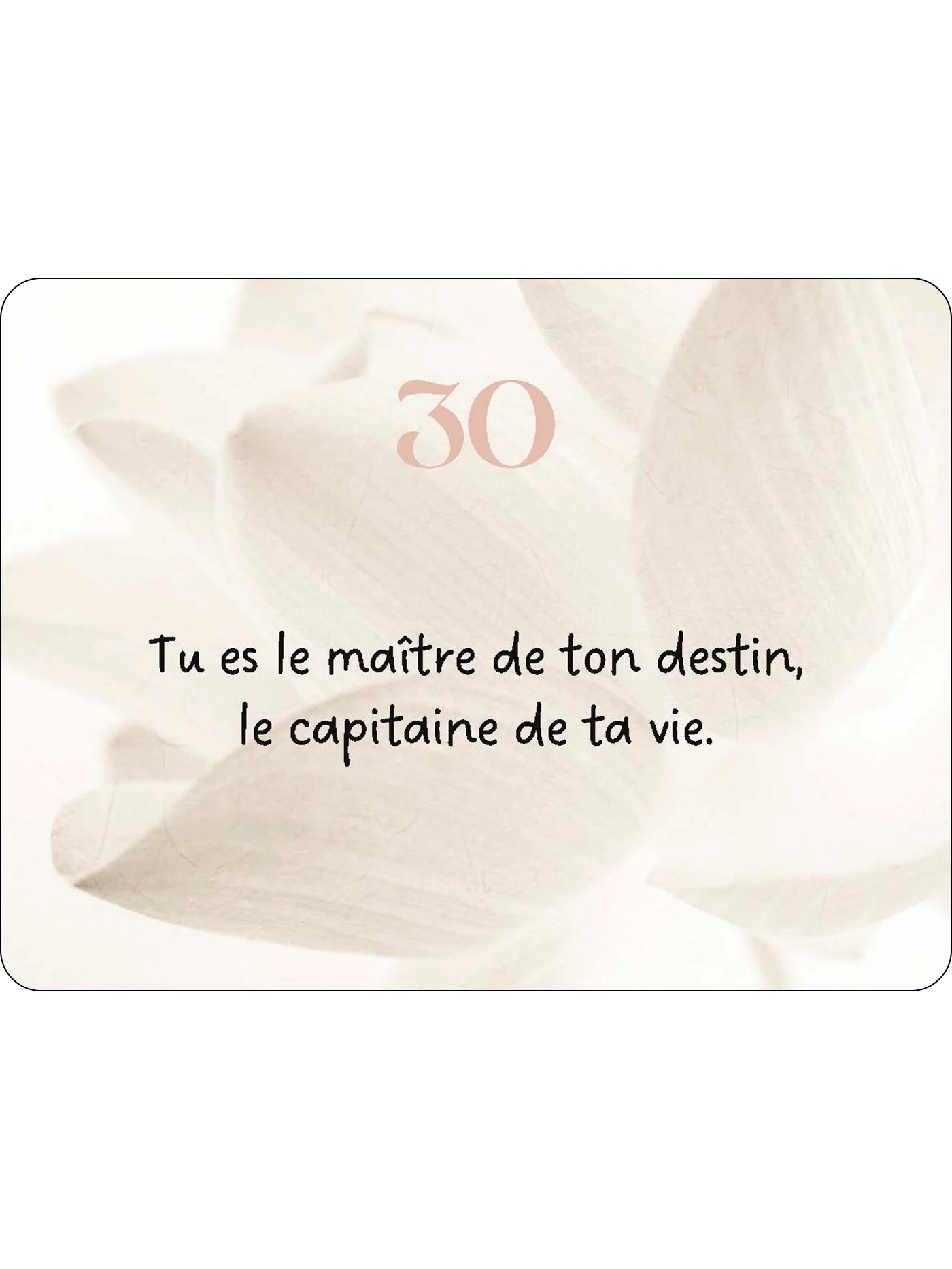 Miniature 39