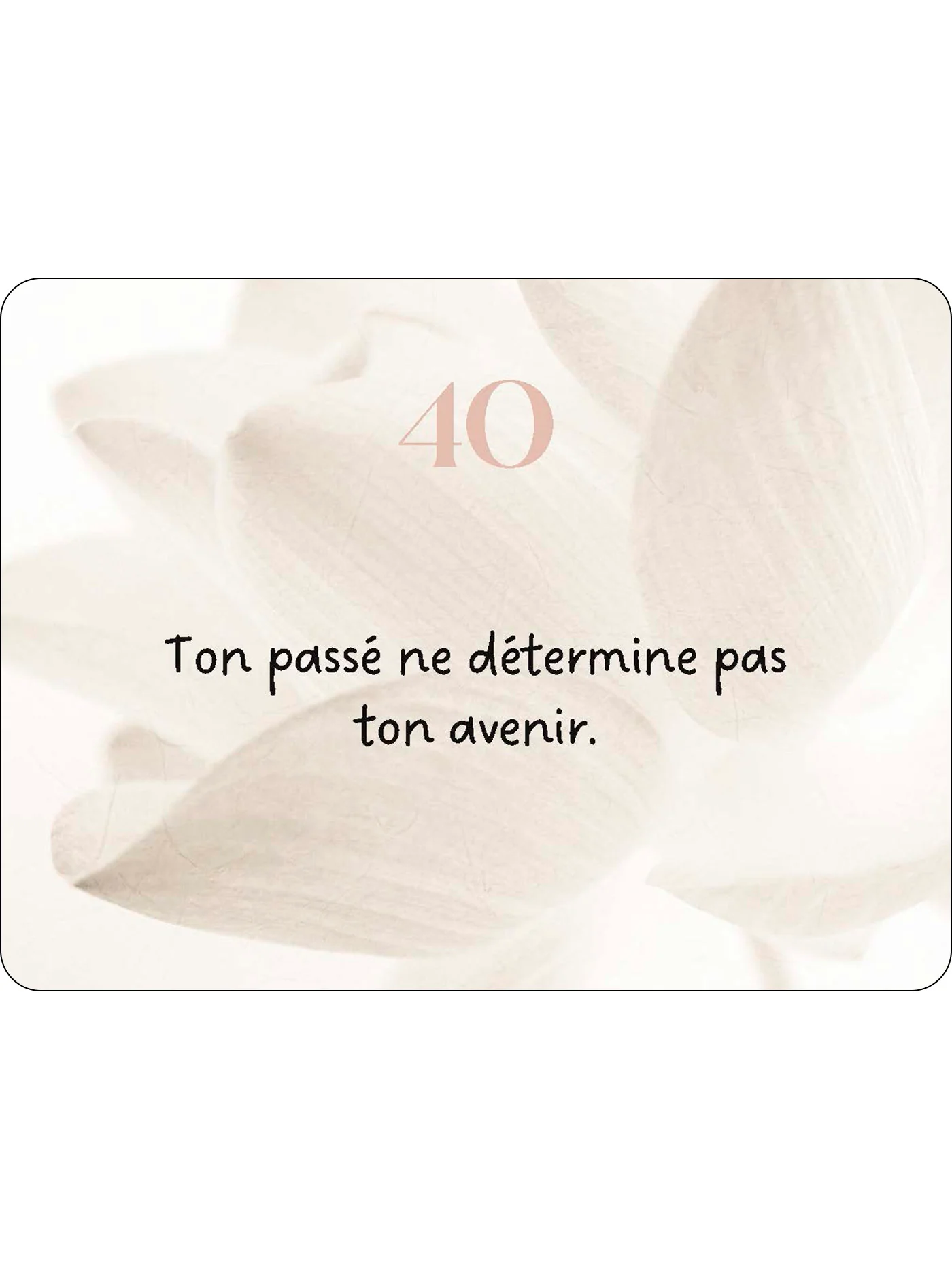 Miniature 40