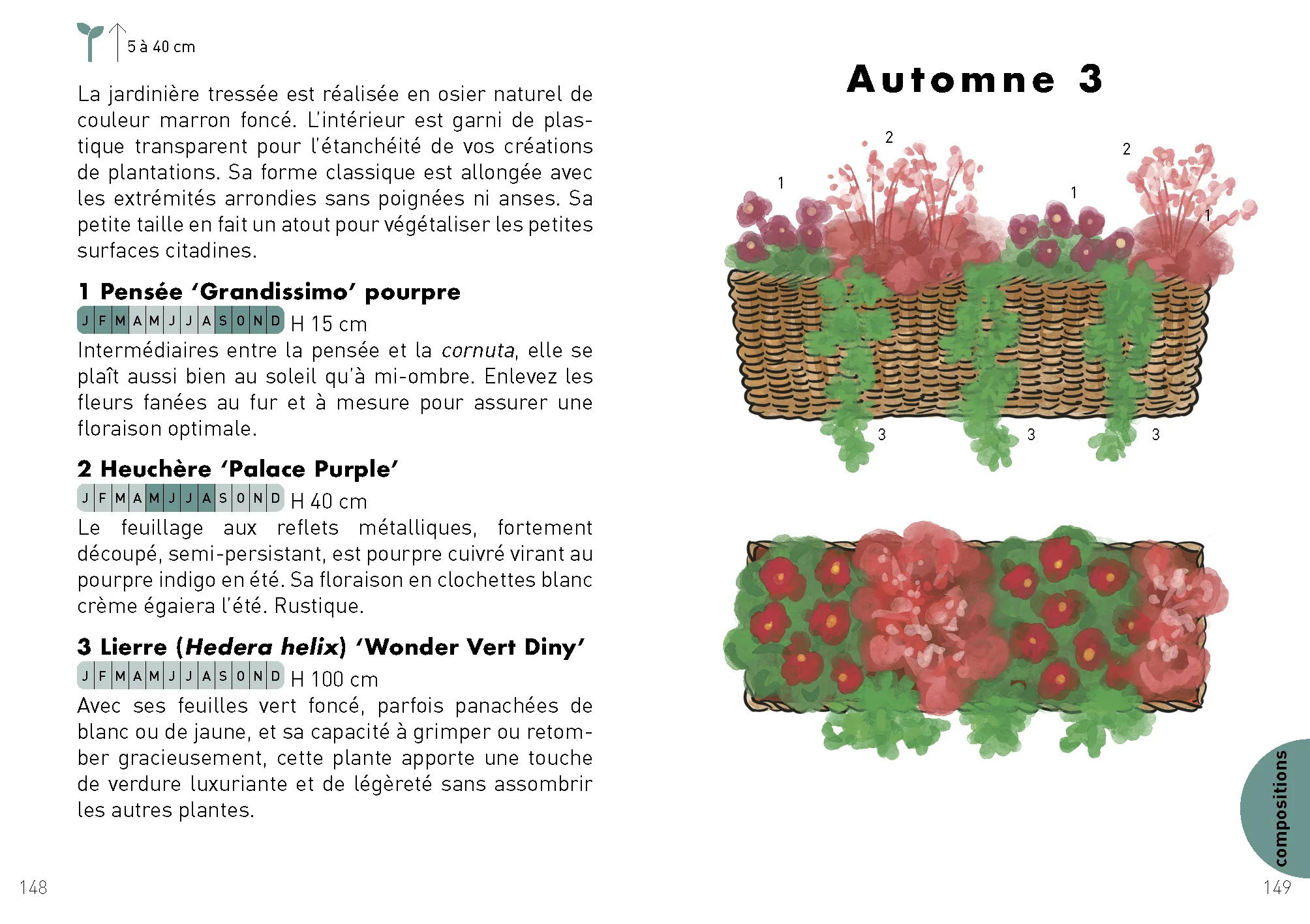 Miniature 6