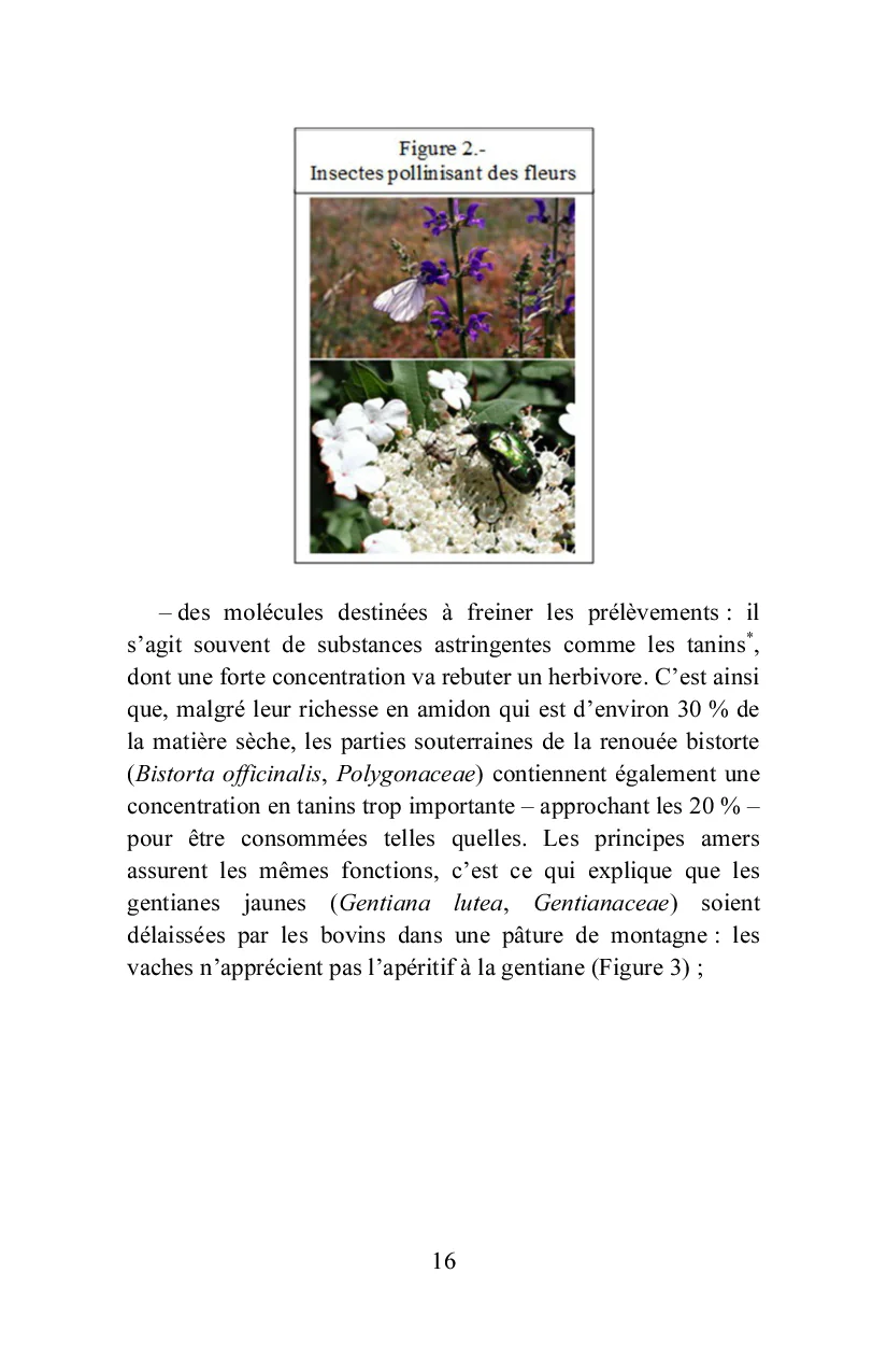 Miniature 12