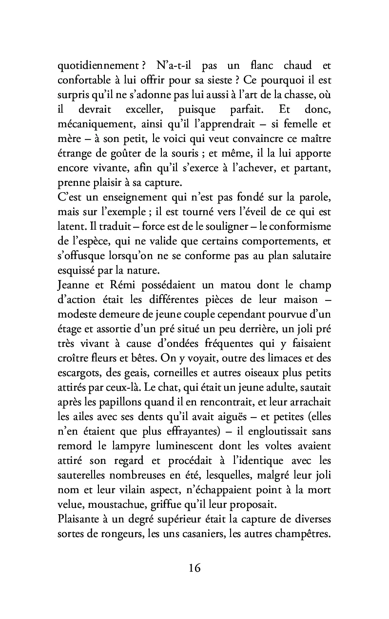 Miniature 12